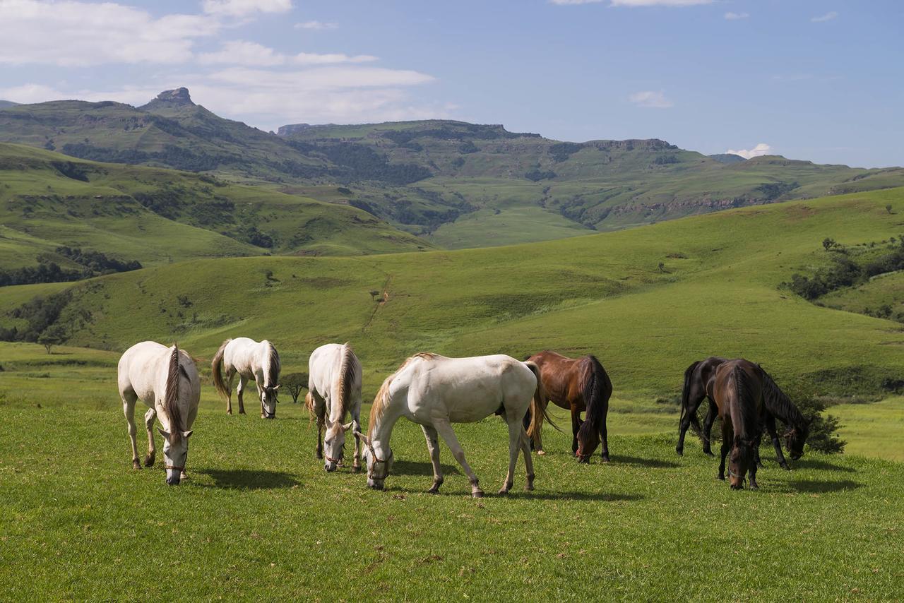 Aha Alpine Heath Resort Jagersrust Extérieur photo